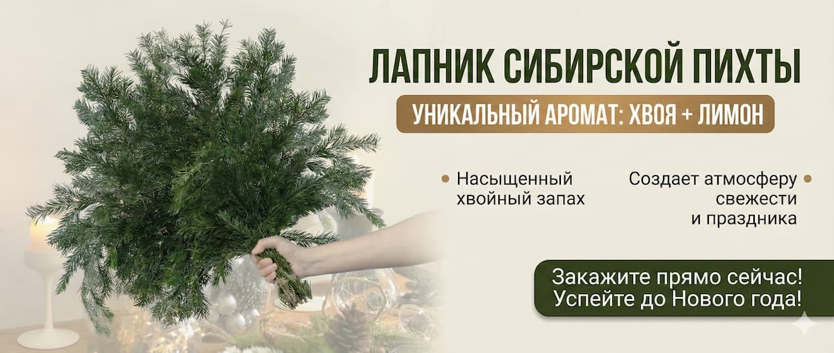 Баннер Лапник Сибирской Пихты