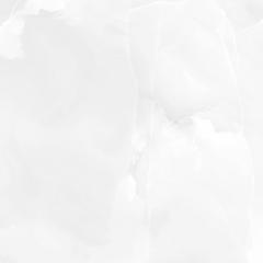 Moonrise white PG 01, керамогранит, 450х450х8мм, Gracia Ceramica, PG 01 /8/208/1,62кв.м.