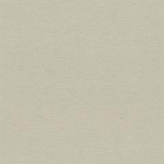 Обои виниловые горячего тиснения House 9287-01 /6 в строительных магазинах СтройГрад