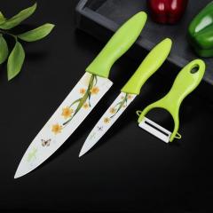 Набор кухонный Доляна «Нарцисс», 3 предмета: 2 ножа с антиналип. покрытием, овощеч.