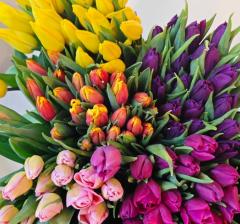 Букет тюльпаны 5 шт в строительных магазинах СтройГрад