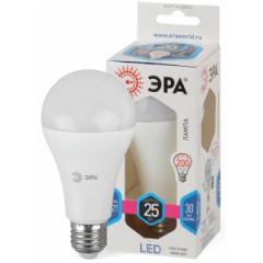 Лампа светодиодная ЭРА A65-25W-840-E27 /100
