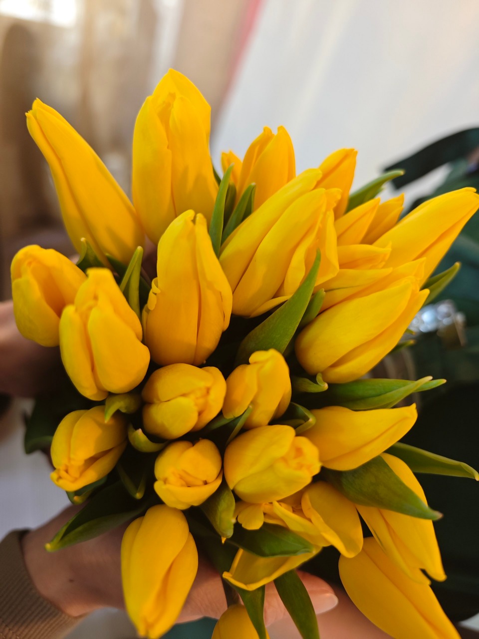 Букет тюльпаны 5 шт в строительных магазинах СтройГрад