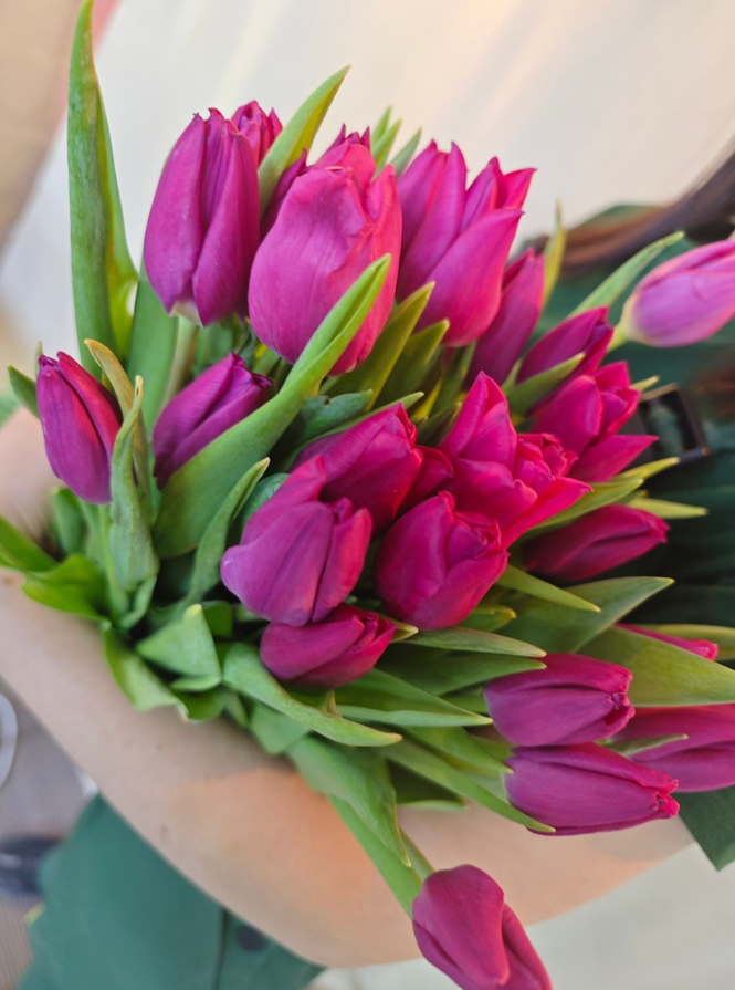 Букет тюльпаны 5 шт в строительных магазинах СтройГрад