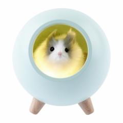 Светильник ночник ЭРА NLED-468-1W-G хомяк зеленый в строительных магазинах СтройГрад