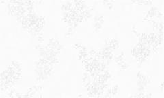 Обои виниловые Startdeco на флизелиновой основе 1,06х10,05м, Алонзо мотив, 98511 /6/