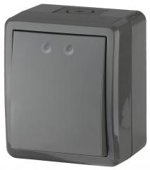 Выключатель Эра Эксперт IP54 10AX-250В серый о/у 11-1401-03 /16