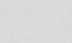 Обои виниловые на флизелиновой основе горячего тиснения Индустрия Bonsai 9157-13/6 в строительных магазинах СтройГрад