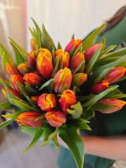 Букет тюльпаны 5 шт в строительных магазинах СтройГрад